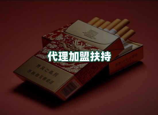 核心优势
